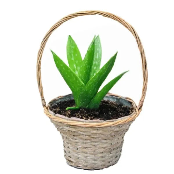 Mand met hengsel - bruin - D35 x H56 cm - rotan - gevlochten riet - hengselmand