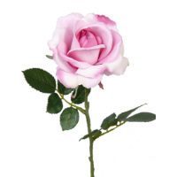 Carol kunst roos roze 37 cm