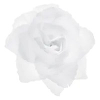 Trouwauto bloemen - Bruiloft - wit - rozen -24x stuks - 9 cm - just married