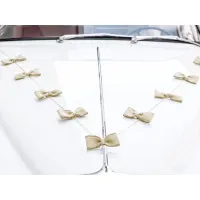 13x Trouwauto decoratie strikken set van jute