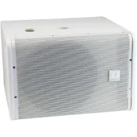 Audiophony iLINESUB12Pw passieve subwoofer