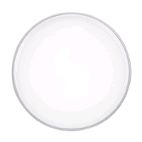 Boston 9222B-C1 Professional Clear bassdrumvel 22 inch