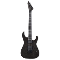 ESP E-II M-II FM See Thru Black met koffer
