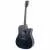 Fazley W70-DMBK ColourTune Dreadnought Matte Black