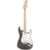 Fender Eric Clapton Stratocaster Pewter MN