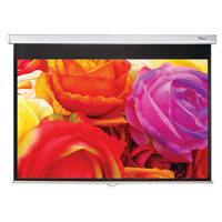 Optoma DS-1123PMG+ projectiescherm 123 inch