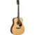 Yamaha FG9 MX elektrisch-akoestische westerngitaar met koffer