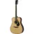 Yamaha FG9 R Rosewood akoestische westerngitaar met koffer en ceritifcaat