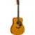Yamaha Red Label FGX5 Gloss all-solid elektrisch-akoestische westerngitaar met koffer