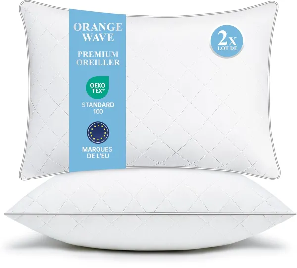 Dons en veren kussen - 3-kamerontwerp - 80x80 cm - 1 stuk - hoogwaardig