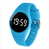 Herinneringshorloge medicatie of plaswekker - USB oplaadbaar - countdown timer - 15 alarmen - Blauw -rond