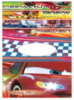 Cars Badcape Poncho