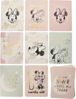 Disney Minnie Mouse Milestone Kaarten Roze