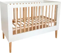 Evolutief Kinderbedje 120 x 60 cm voor Baby