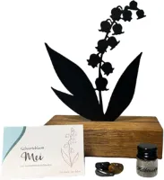 Kraamcadeau - geboortebloem beeld- MEI - Lelietje van dalen - mét tandendoosje / potje / haarlokpotje en beschermende edelsteentjes - metaal in houten sokkel - babyshower cadeau