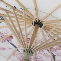 Handgemaakte oliepapier klassiek schilderij pruimenbloesems dansen rekwisieten parasol - intrekbare regenbestendige - houten handvat - 55 cm diameter M .