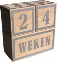 Houten mijlpaalblokken - zilver - kraamcadeau - leeftijden en momenten - 3 blokken