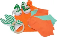 Kleurrijk kraam cadeau geboorte zoon dochter meisje jongen.