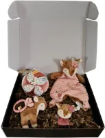 Little dutch Cadeaupakket - kraampakket - verrassingpakket - babypakket - geboortepakket - meisje