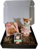 Little dutch Cadeaupakket - kraampakket - verrassingpakket - babypakket - geboortepakket - meisje - activiteitenboek