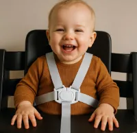 LuukyBB - Kinderstoel Tuigje - 5 Punts Harnass - Verstelbaar Baby Gordel - Buggy Kinderwagen Wipstoel - Universeel Veiligheidsgordel