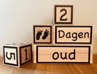 Mijlpaalblokken bedrukt