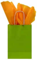 Papieren tas gedraaid handvat 190 + 80 x 220 mm groen - 250 st/ds