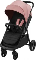 RINE Buggy Tot 22 Kg - Kinderwagen - Met Eén Hand Inklapbaar - Waterdichte Afdekking Met UPF50+ Filter - Liggende Positie - Bekerhouder