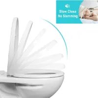 Toilet lid Quick-Release Function - Toilet Seat Softclose Closing Mechanism - Toilet Seat Duroplast/