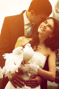 wedding-doves